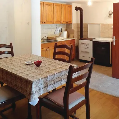 Two-bedroom In Vikendica *